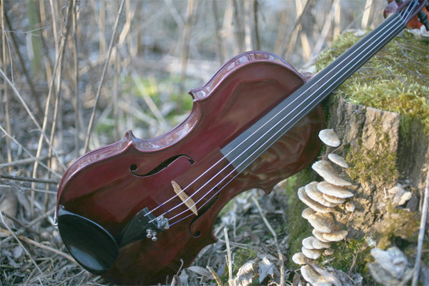 Ennemoser Geige "Auberginrote Augeige" 1995