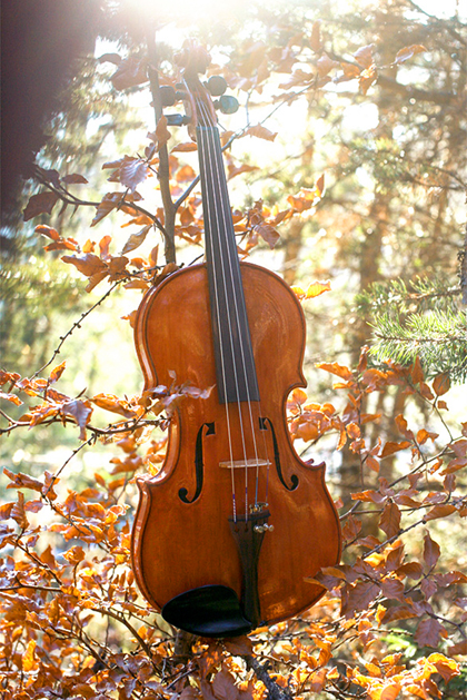 Ennemoser Geige "Herbstgeige" 1984