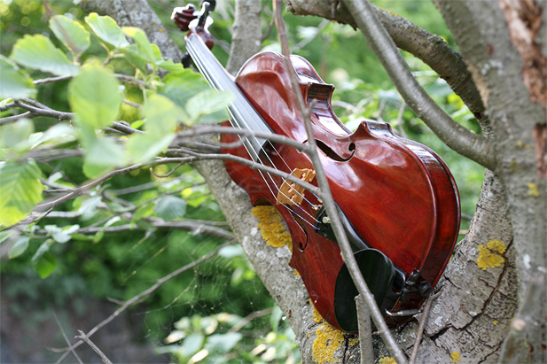 "Maroon Geige" Dieter Ennemoser