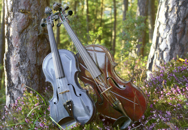 Ennemoser-Geigen - "Blaue Violine" und "Waldbratsche" 2007 "Blaue Violine" und "Waldbratsche" 2007 Dieter Ennemoser